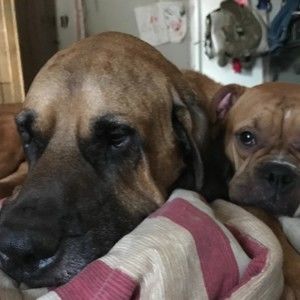 Meet your Posher, Tina